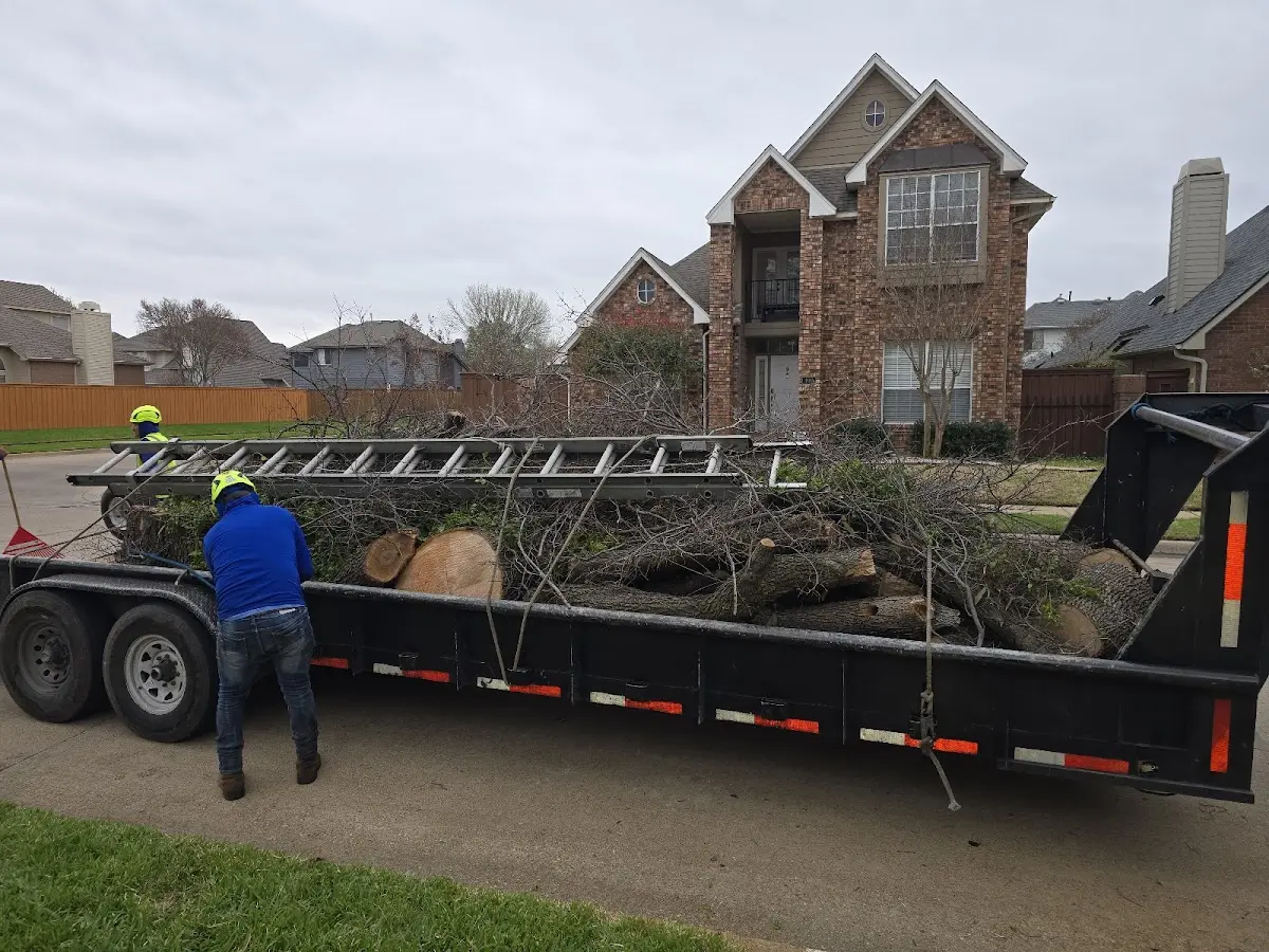 Expert Tree Fertilization with proper safety equipment in Butler